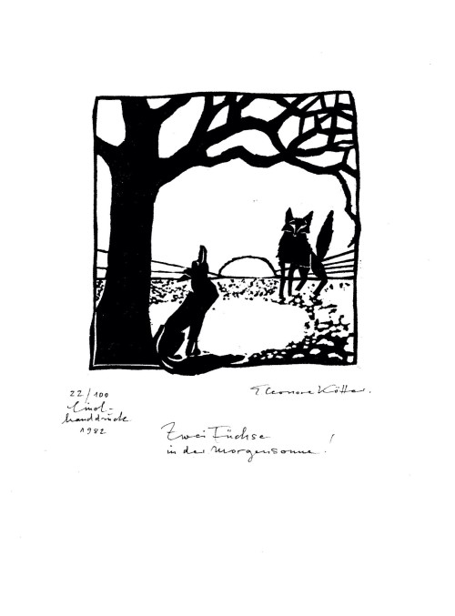 Zwei Füchse in der Morgensonne!