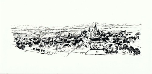 Pfalzgrafenweiler - Rundblick vom Wasserturm